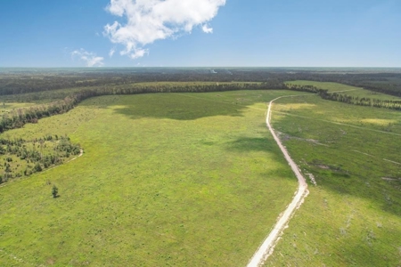 Land for Sale in Tangipahoa Parish, LA - image 2