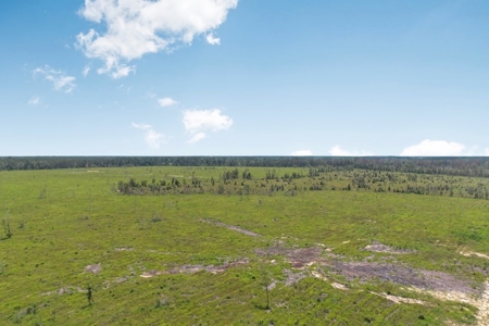 Land for Sale in Tangipahoa Parish, LA - image 8