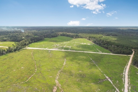 Land for Sale in Tangipahoa Parish, LA - image 7