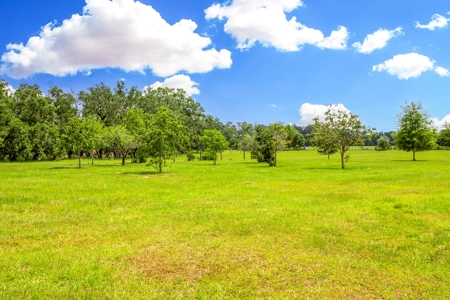 Home For Sale In Suwannee County !!! - image 49