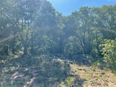 Land With 3 Fishing Ponds For Sale in Bowie, Texas - image 17
