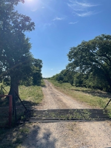 Land With 3 Fishing Ponds For Sale in Bowie, Texas - image 3