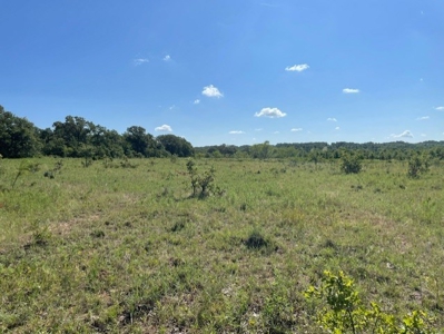 Land With 3 Fishing Ponds For Sale in Bowie, Texas - image 26