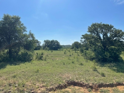 Land With 3 Fishing Ponds For Sale in Bowie, Texas - image 23