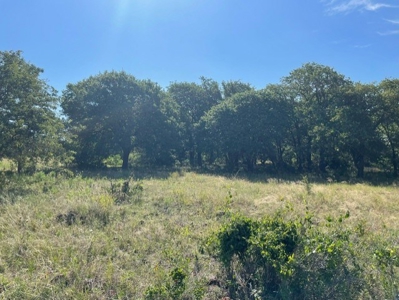 Land With 3 Fishing Ponds For Sale in Bowie, Texas - image 12