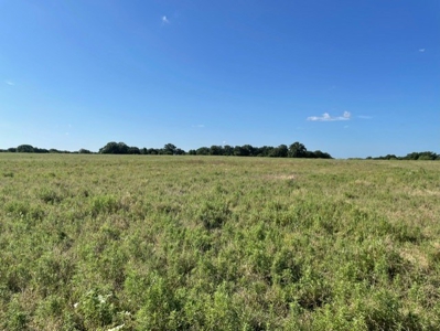 Land With 3 Fishing Ponds For Sale in Bowie, Texas - image 5