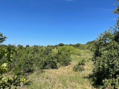 Land With 3 Fishing Ponds For Sale in Bowie, Texas - image 24