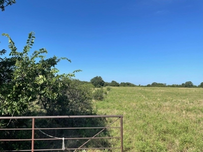 Land With 3 Fishing Ponds For Sale in Bowie, Texas - image 15