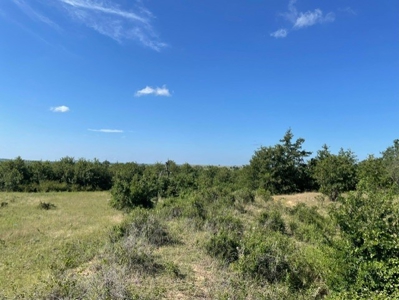 Land With 3 Fishing Ponds For Sale in Bowie, Texas - image 21