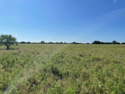 Land With 3 Fishing Ponds For Sale in Bowie, Texas - image 6