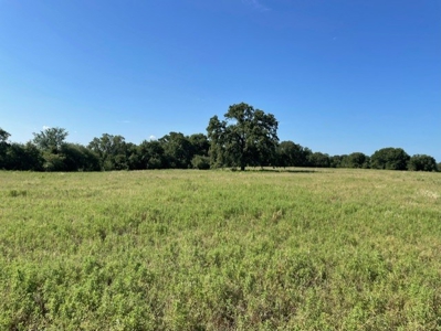 Land With 3 Fishing Ponds For Sale in Bowie, Texas - image 9