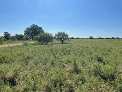 Land With 3 Fishing Ponds For Sale in Bowie, Texas - image 7