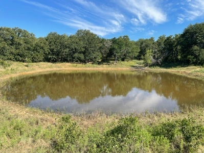 Land With 3 Fishing Ponds For Sale in Bowie, Texas - image 20