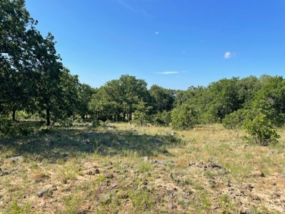 Land With 3 Fishing Ponds For Sale in Bowie, Texas - image 18