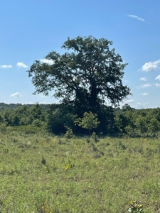 Land With 3 Fishing Ponds For Sale in Bowie, Texas - image 27