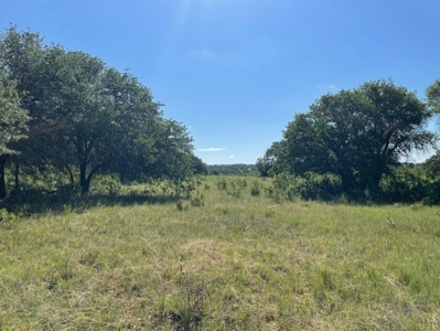 Land With 3 Fishing Ponds For Sale in Bowie, Texas - image 19