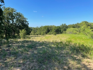 Land With 3 Fishing Ponds For Sale in Bowie, Texas - image 16