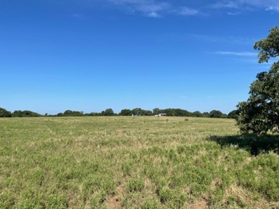 Land With 3 Fishing Ponds For Sale in Bowie, Texas - image 11