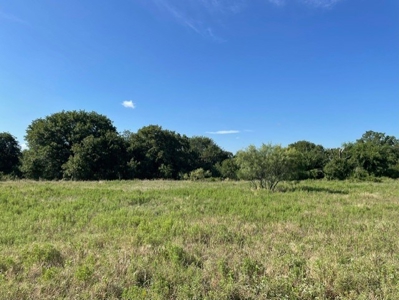 Land With 3 Fishing Ponds For Sale in Bowie, Texas - image 10