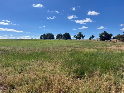 Mancos Colorado Rural Acreage For Sale - image 4