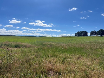 Mancos Colorado Rural Acreage For Sale - image 5