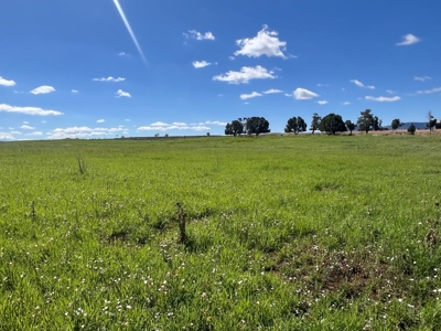 Mancos Colorado Rural Acreage For Sale - image 9