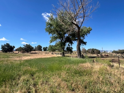 Mancos Colorado Rural Acreage For Sale - image 7