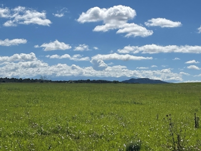 Mancos Colorado Rural Acreage For Sale - image 1