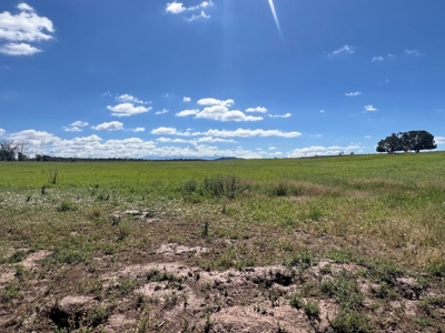 Mancos Colorado Rural Acreage For Sale - image 8