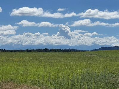 Mancos Colorado Rural Acreage For Sale - image 6