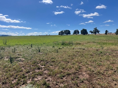 Mancos Colorado Rural Acreage For Sale - image 2