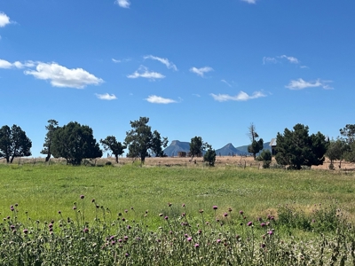 Mancos Colorado Rural Acreage For Sale - image 13