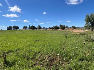 Mancos Colorado Rural Acreage For Sale - image 10