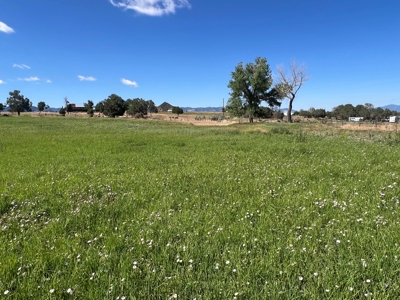 Mancos Colorado Rural Acreage For Sale - image 11