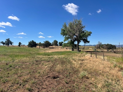 Mancos Colorado Rural Acreage For Sale - image 3