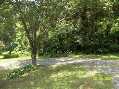 Manufactured Home on 69.96 Acres in Grainger County, TN - image 9