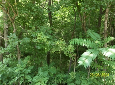 Manufactured Home on 69.96 Acres in Grainger County, TN - image 24