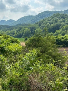144 Unrestricted Acres In Kyles Ford, Tennessee - image 3