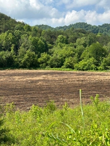 144 Unrestricted Acres In Kyles Ford, Tennessee - image 11
