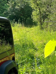 144 Unrestricted Acres In Kyles Ford, Tennessee - image 32