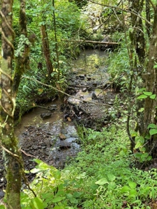 144 Unrestricted Acres In Kyles Ford, Tennessee - image 25
