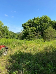 144 Unrestricted Acres In Kyles Ford, Tennessee - image 39