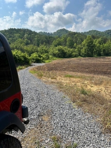 144 Unrestricted Acres In Kyles Ford, Tennessee - image 23