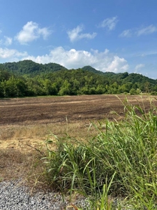 144 Unrestricted Acres In Kyles Ford, Tennessee - image 22