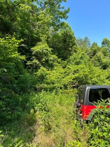 144 Unrestricted Acres In Kyles Ford, Tennessee - image 38
