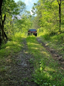 144 Unrestricted Acres In Kyles Ford, Tennessee - image 24