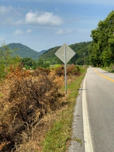 144 Unrestricted Acres In Kyles Ford, Tennessee - image 4