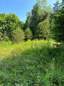 144 Unrestricted Acres In Kyles Ford, Tennessee - image 41