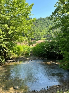144 Unrestricted Acres In Kyles Ford, Tennessee - image 1
