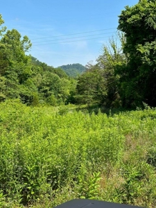 144 Unrestricted Acres In Kyles Ford, Tennessee - image 37